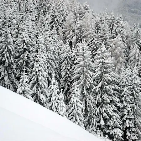Apartmán Haus Landblick *